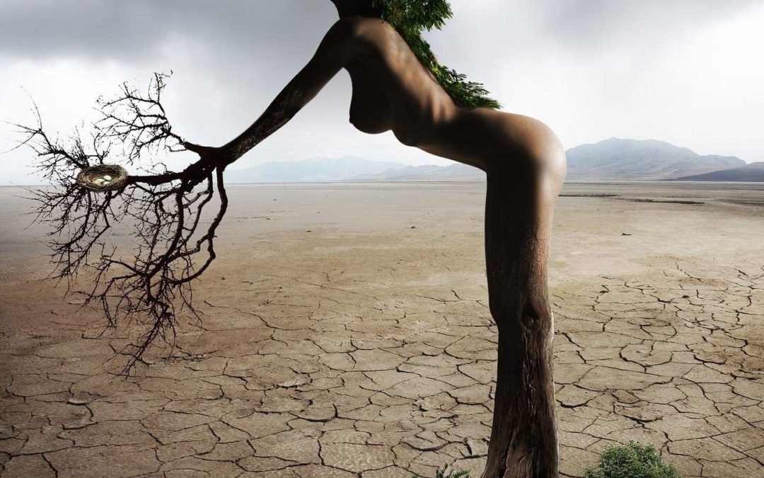 #Humeur : La Femme sauvage