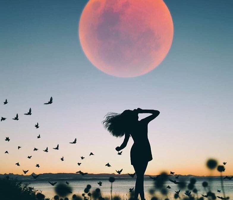 #Poésie – L’éveil du féminin