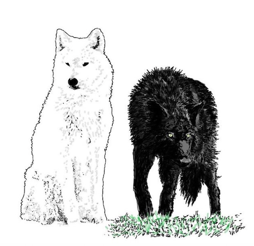 visules loup nb